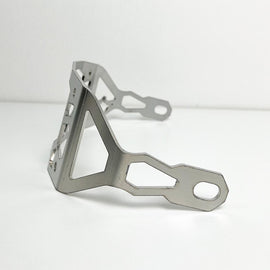 Carbon Visionary Laser License Plate Mount