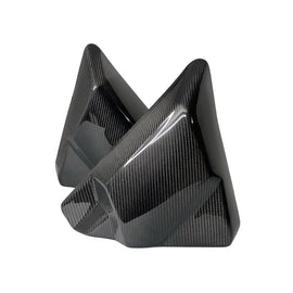 Carbon Visionary Carbon Fiber Alter Ego Side Cover